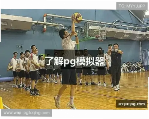 pg模拟器试玩卡顿闪退原因与解决
